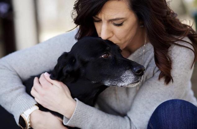 cbd dog biscuits for pain