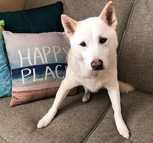 Kailua uses Austin and Kat CBD oil to keep her in her "happy place"!