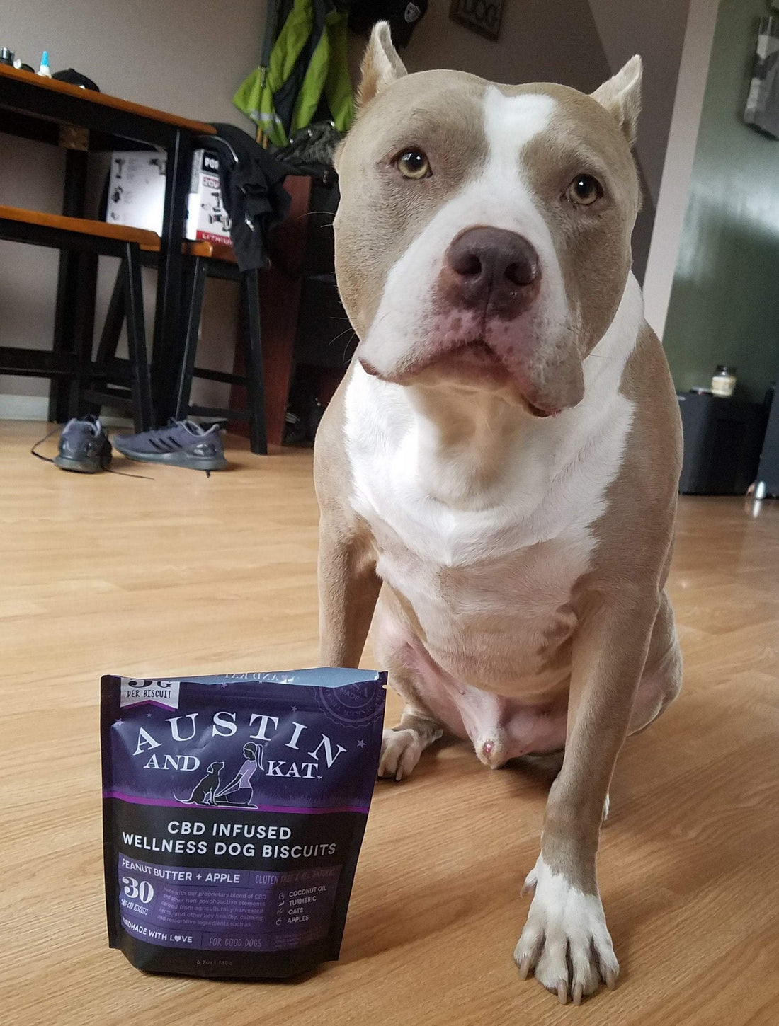 Testimonials-Zeus-CBD for Pets-Austin and Kat