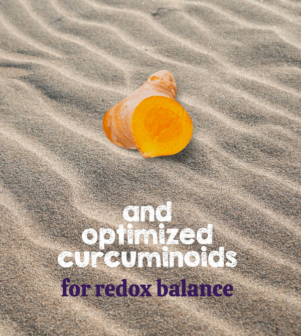 optimized curcumin