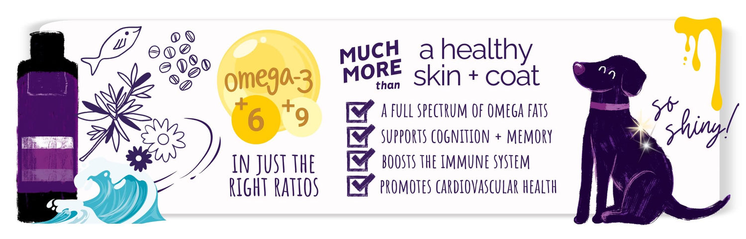 Omega 3, 6, 9 in just the right ratios supports dog's skin and coat, cognition, immune system, and heart health!